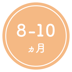 8-10ヶ月