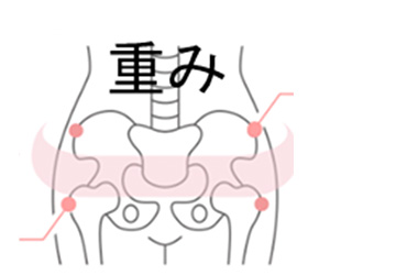 骨盤重み