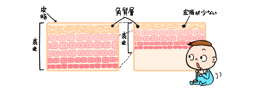 赤ちゃんの肌