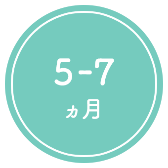 5-7ヵ月